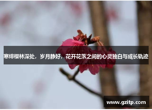 寒绯樱林深处，岁月静好，花开花落之间的心灵独白与成长轨迹