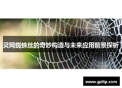灵网蜘蛛丝的奇妙构造与未来应用前景探析